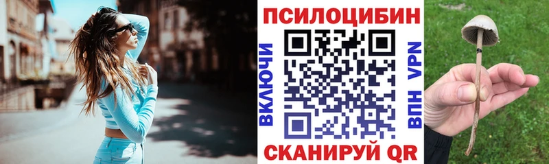 Галлюциногенные грибы мицелий Белорецк